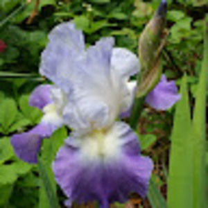 Meet your Posher, Jody